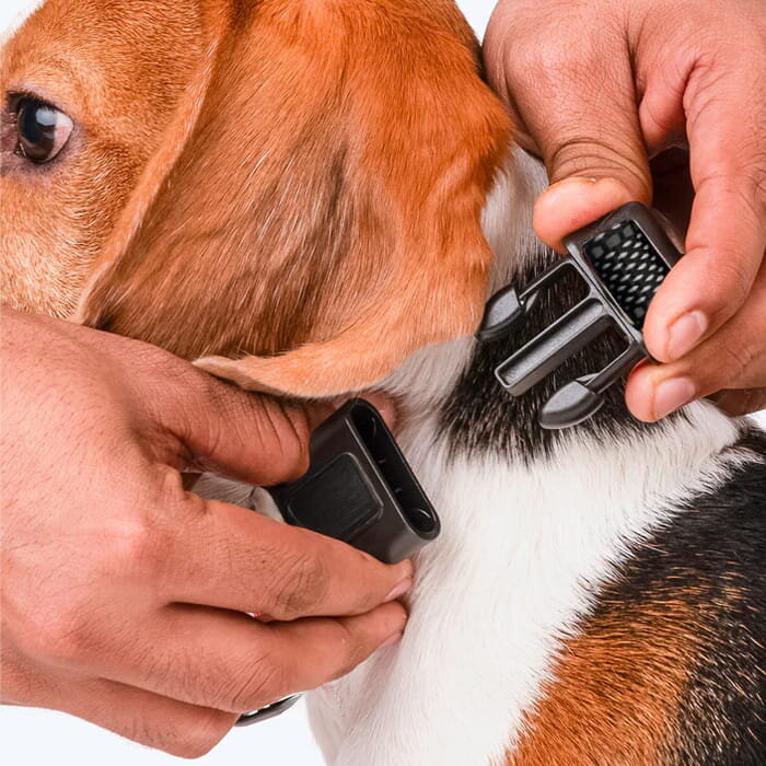 puppyBark image