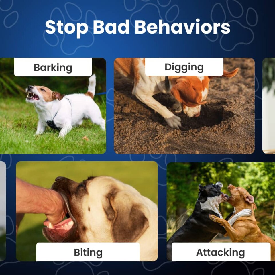 puppyBark image