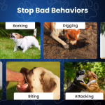 puppyBark image